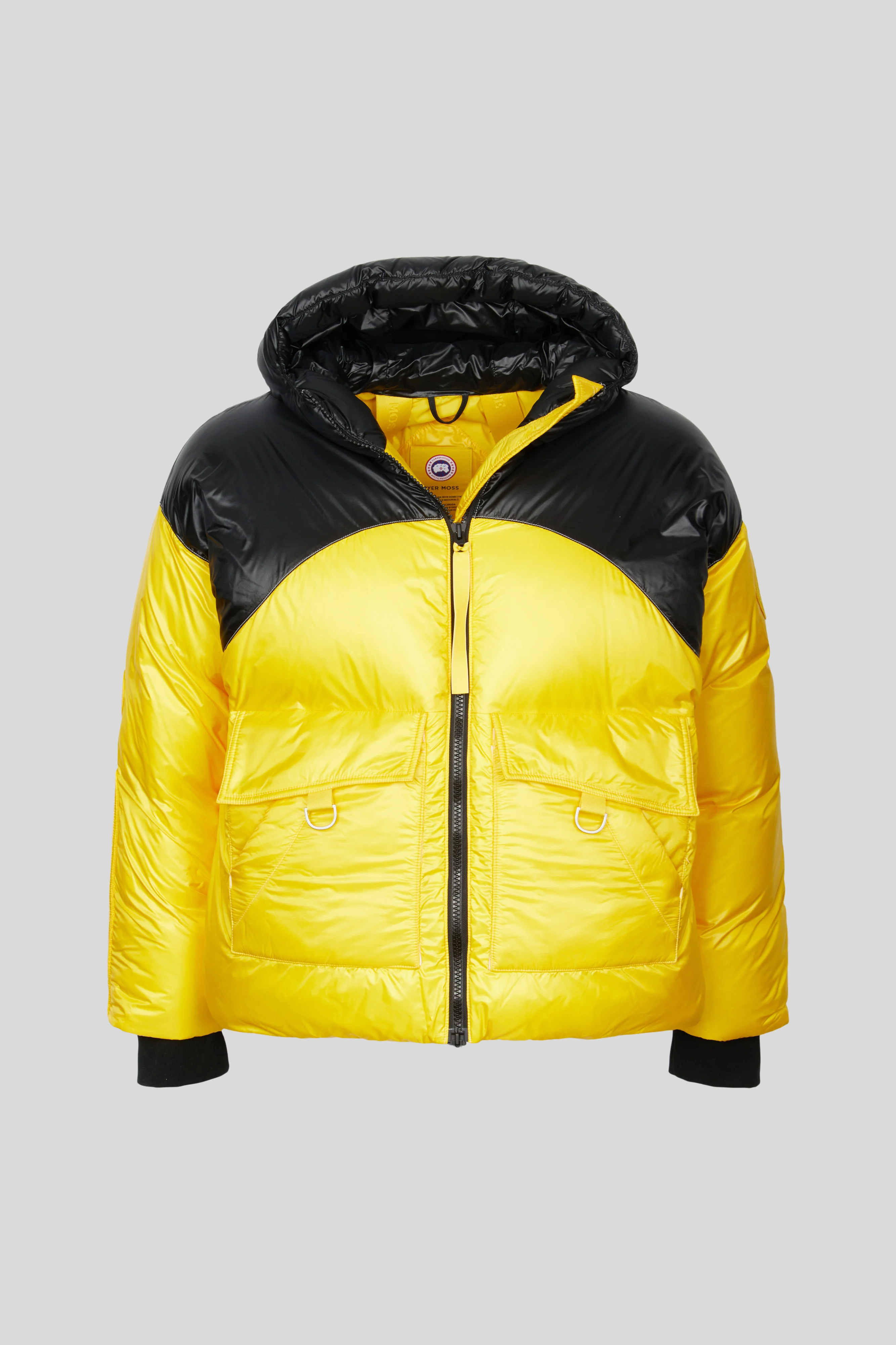 CG Disc - Puffer 001