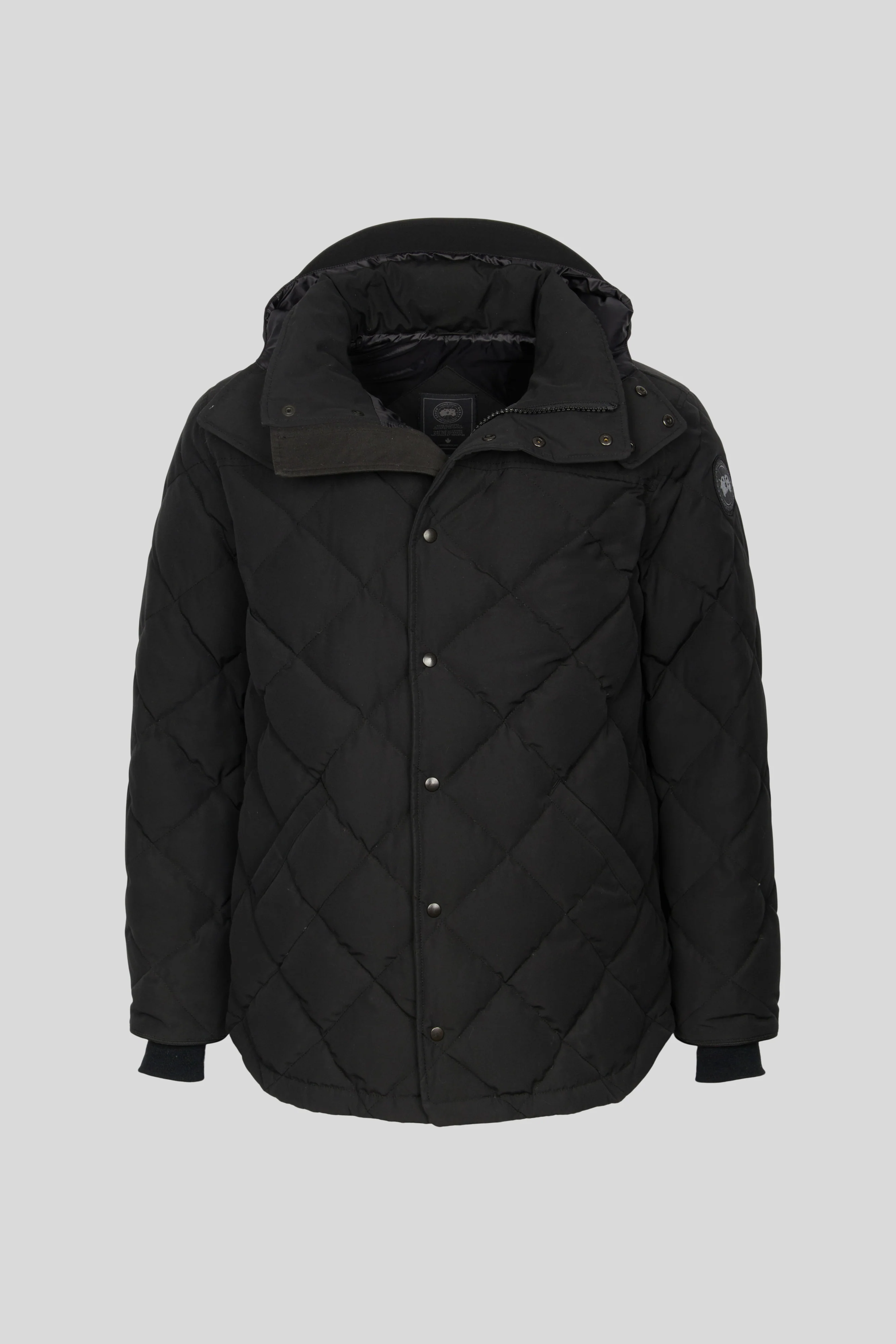 Webster Parka