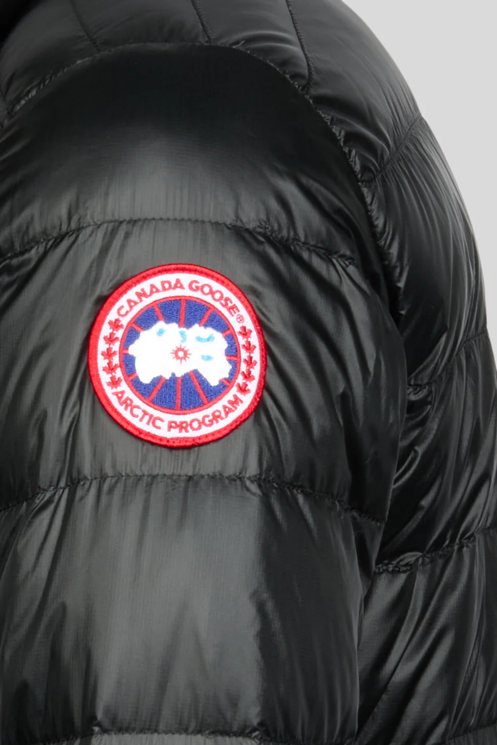 Crofton Jacket - Image 4