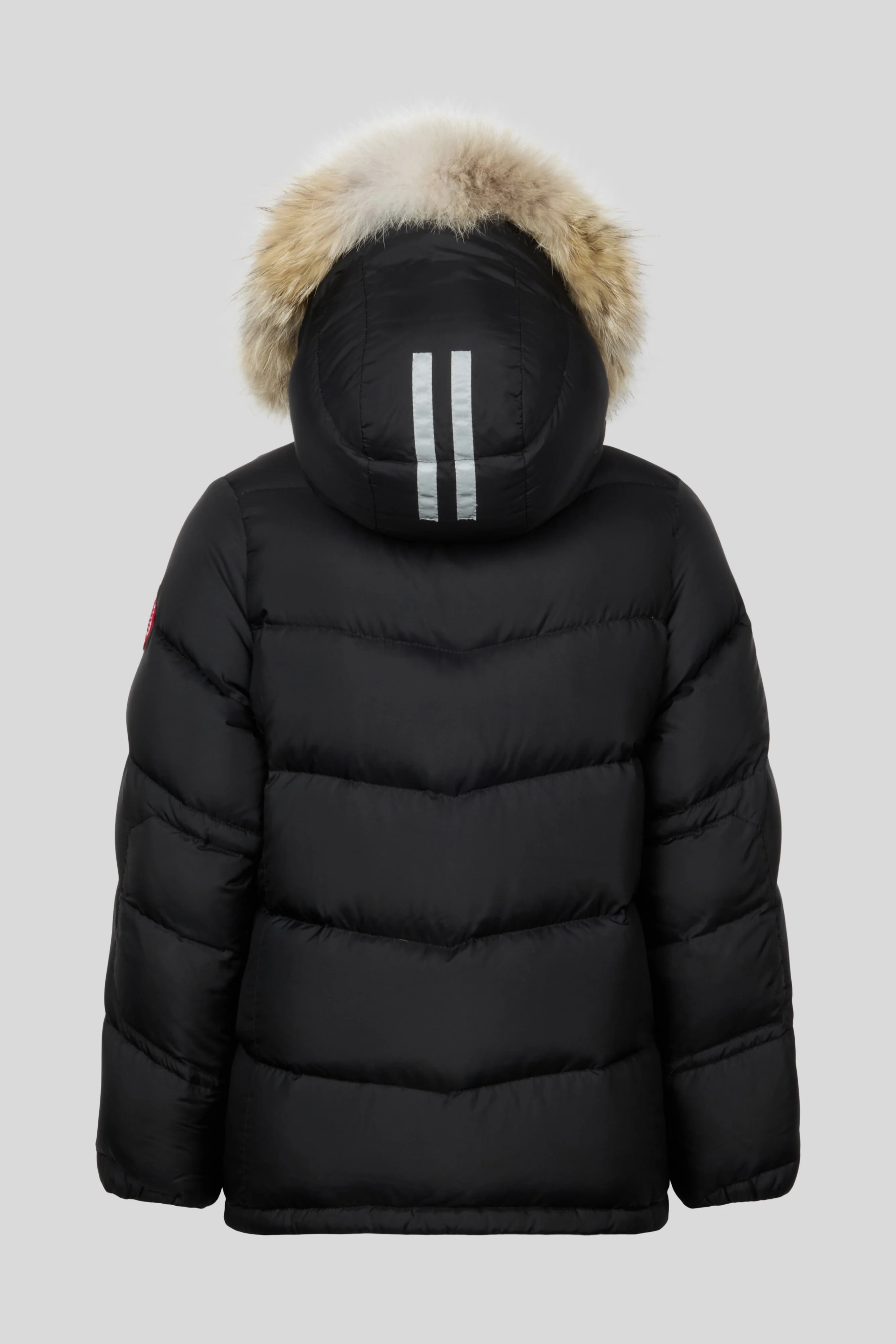 Taylor Jacket - Image 2