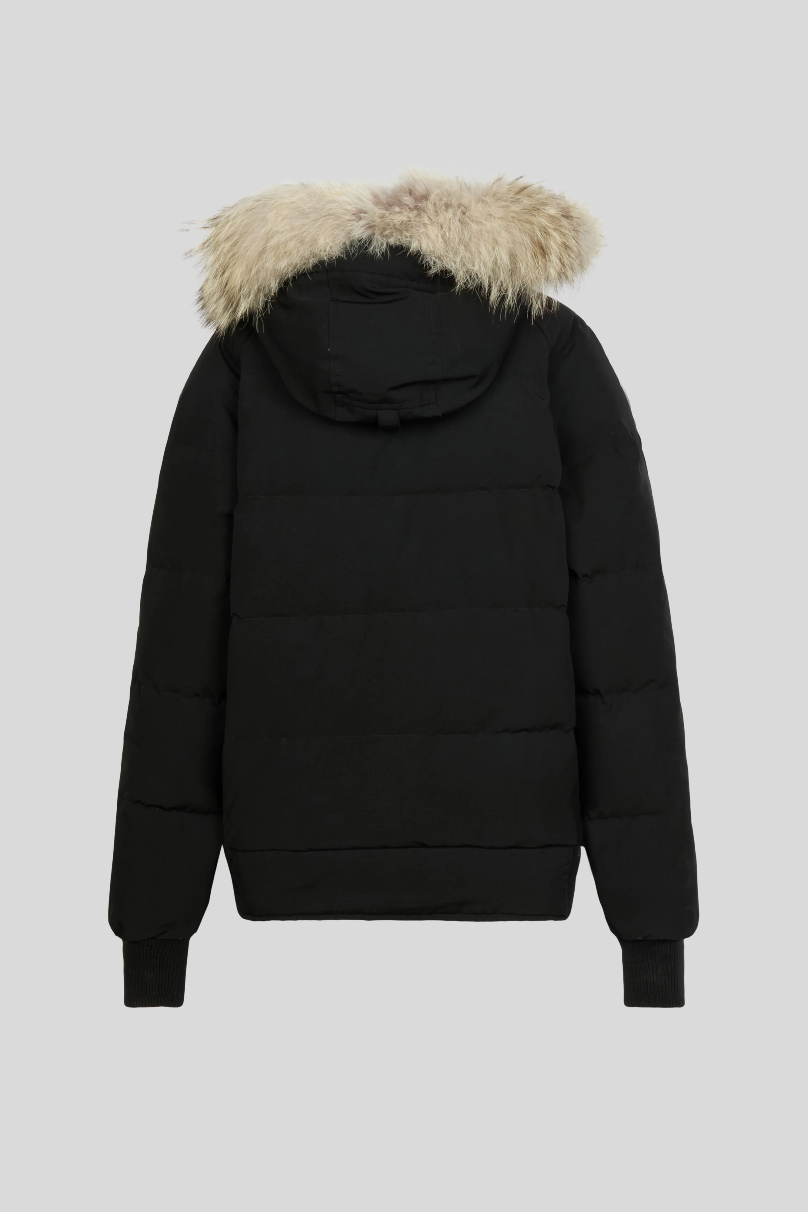Savona Bomber - Image 2